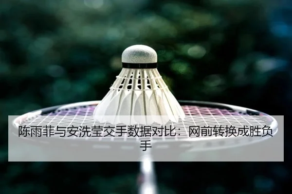 陈雨菲与安洗莹交手数据对比：网前转换成胜负手